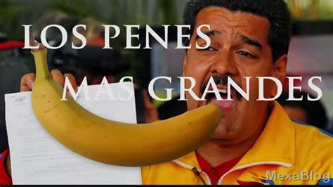 xxnex|penes grandes Search